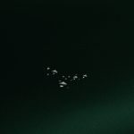 Tkanina gładka tk.114 ciemno zielona obrusowa zasłonowa Tkanina gładka tk.114 ciemno zielona obrusowa zasłonowa