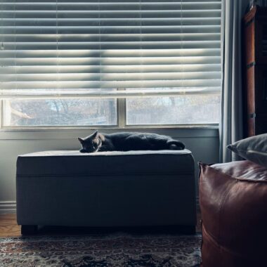 Jak prać plisy okienne?